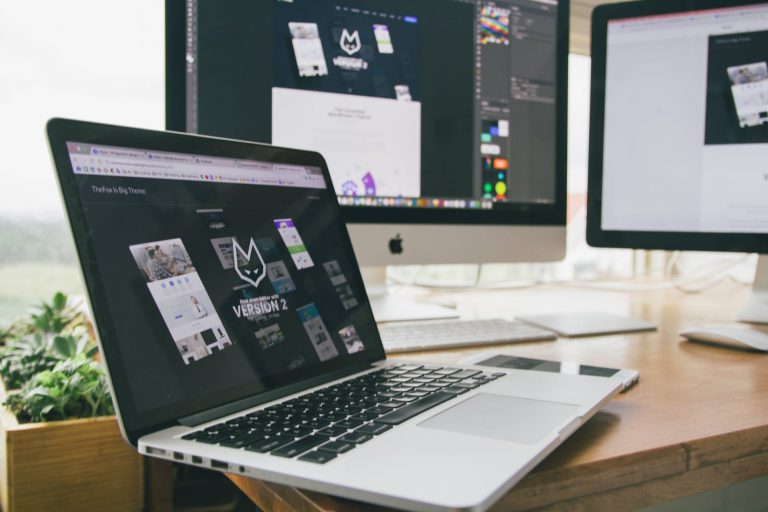 WordPress Multisite Themes
