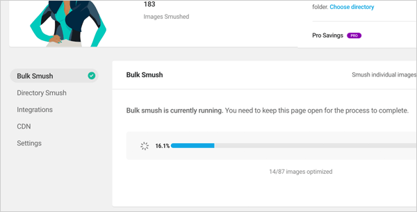 WordPress Multisite Themes